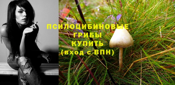 бошки Инсар