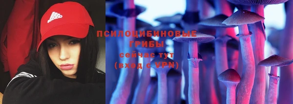 бошки Инсар