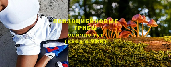 МДПВ Иннополис