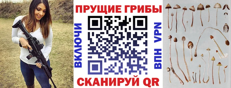 Псилоцибиновые грибы ЛСД  Купить закладки  Наро-Фоминск 